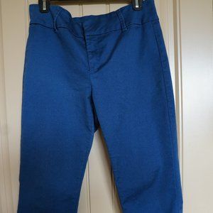 Tinsel Dress Ankle Length Pant Blue with Side zipper Design Size 29